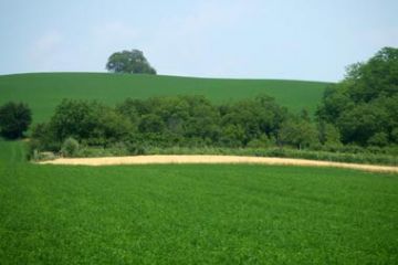Panorama collinare